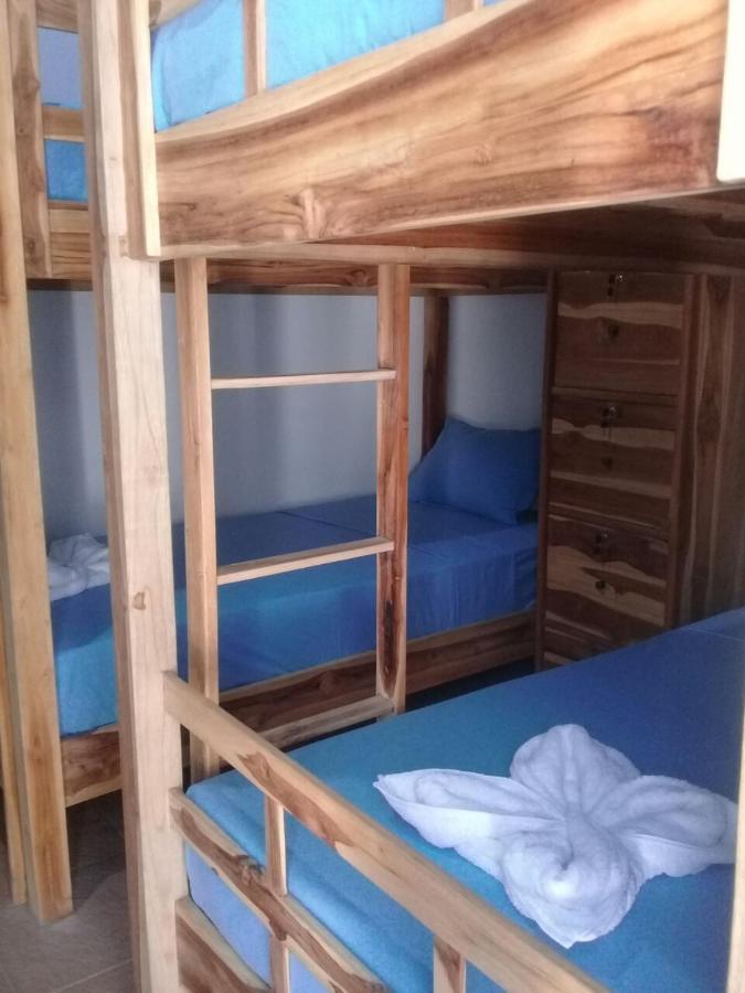 Turtle Island Homestay Sanur  Luaran gambar