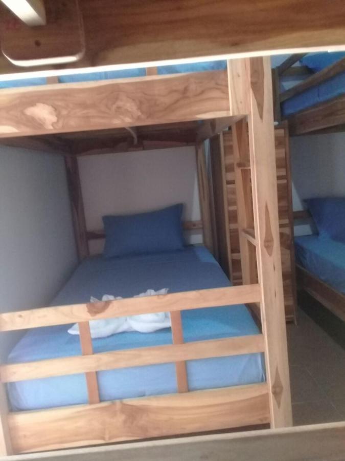 Turtle Island Homestay Sanur  Luaran gambar
