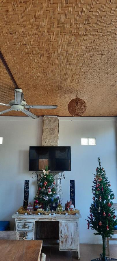 Turtle Island Homestay Sanur  Luaran gambar