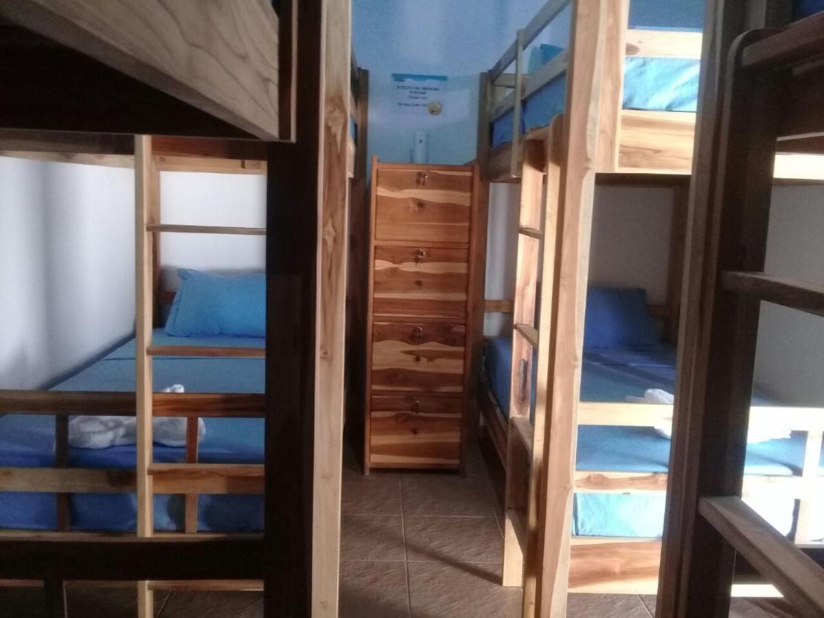 Turtle Island Homestay Sanur  Luaran gambar